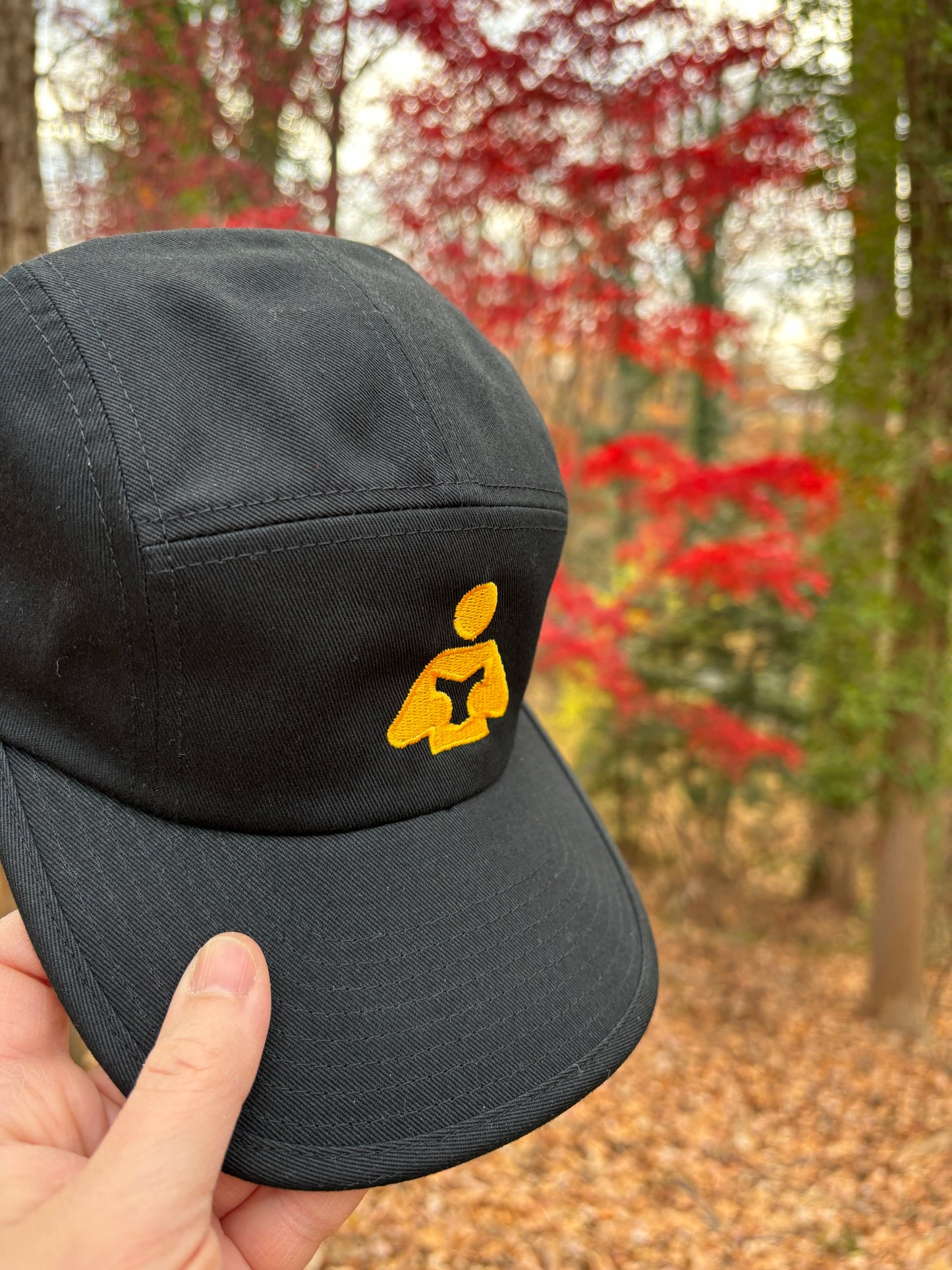 Library Reader Five Panel Cap